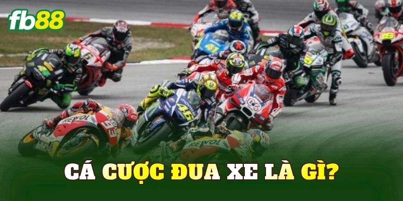 Cá cược đua xe là gì?