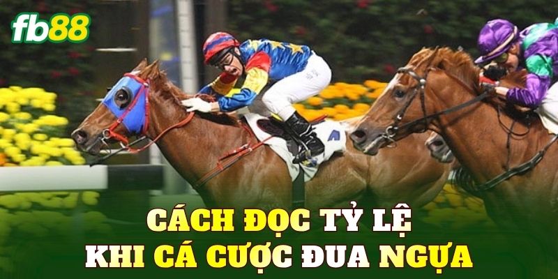 Cách đọc tỷ lệ khi cá cược đua ngựa