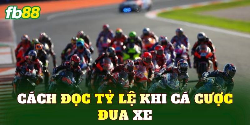 Cách đọc tỷ lệ khi cá cược đua xe